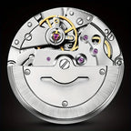 Dianpai Automatic Mechanical Watch with Stainless
