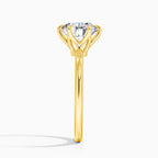 Sdoou echtes Gold 14K 6 Krappen runder 1-3ct Moissanit