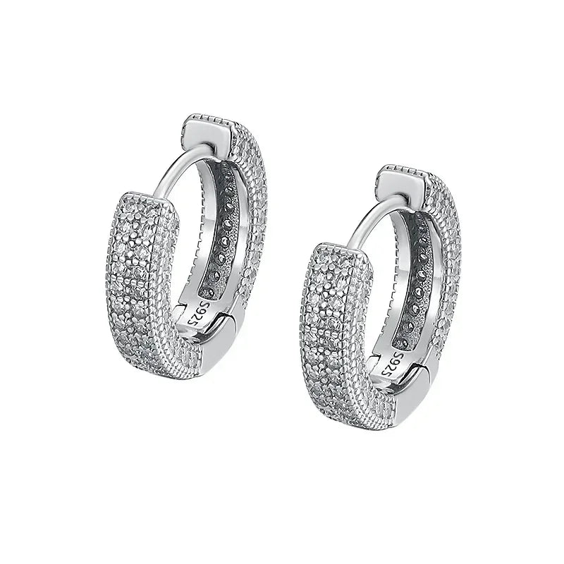 D Color Full Moissanite Hoop Earrings For Women.
